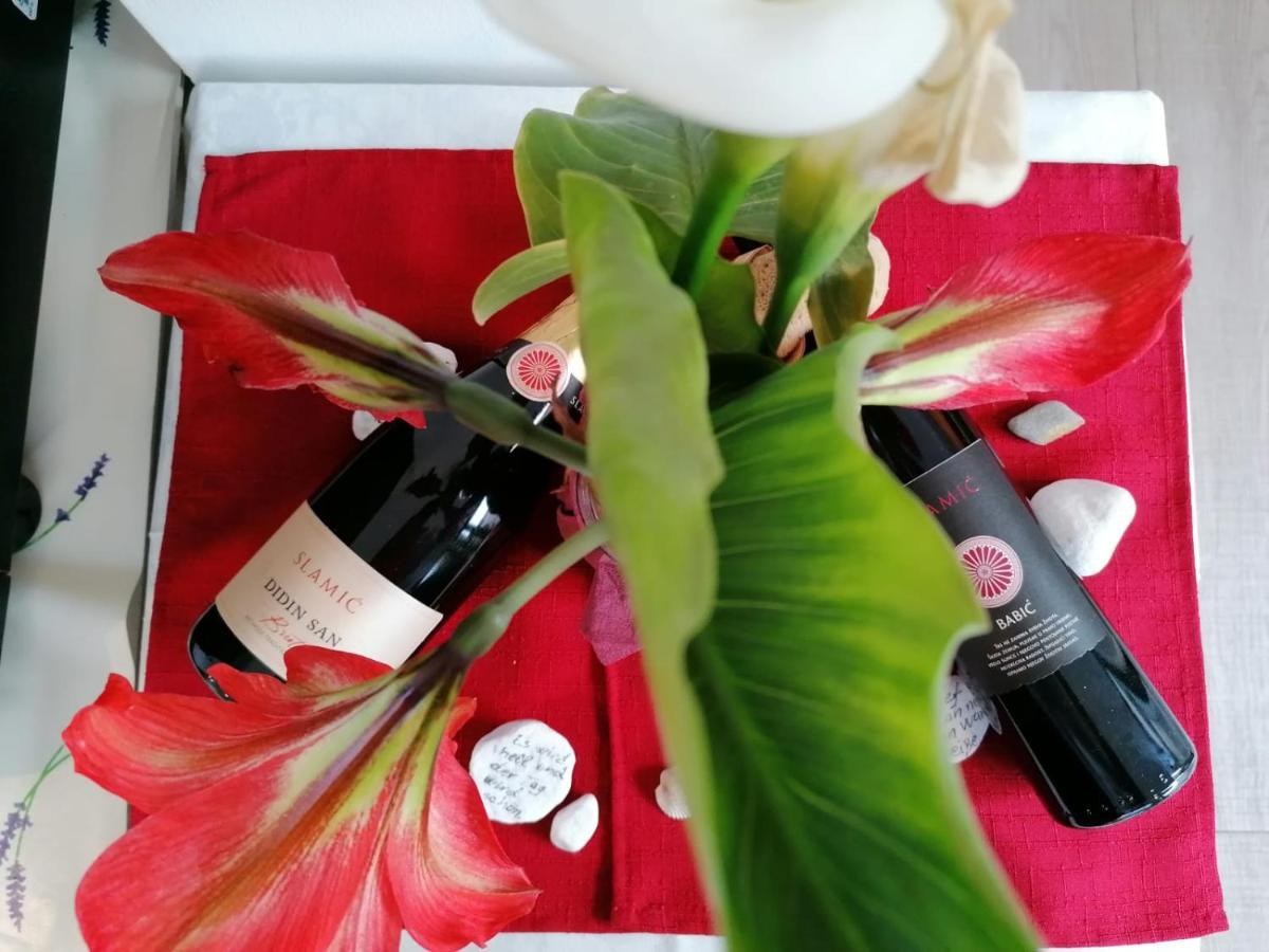 波若维尼克酒店 迪斯诺 外观 照片